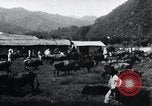 Image of Korean farmers at a bull's market Korea, 1936, second 14 stock footage video 65675028855