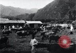 Image of Korean farmers at a bull's market Korea, 1936, second 15 stock footage video 65675028855