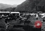 Image of Korean farmers at a bull's market Korea, 1936, second 16 stock footage video 65675028855
