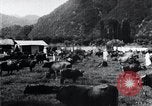 Image of Korean farmers at a bull's market Korea, 1936, second 17 stock footage video 65675028855