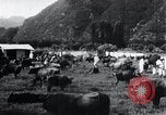 Image of Korean farmers at a bull's market Korea, 1936, second 18 stock footage video 65675028855