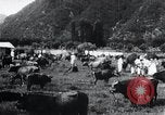 Image of Korean farmers at a bull's market Korea, 1936, second 19 stock footage video 65675028855