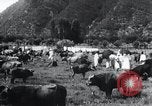 Image of Korean farmers at a bull's market Korea, 1936, second 20 stock footage video 65675028855