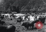 Image of Korean farmers at a bull's market Korea, 1936, second 21 stock footage video 65675028855