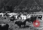 Image of Korean farmers at a bull's market Korea, 1936, second 22 stock footage video 65675028855