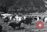 Image of Korean farmers at a bull's market Korea, 1936, second 23 stock footage video 65675028855