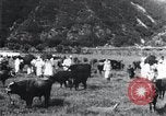 Image of Korean farmers at a bull's market Korea, 1936, second 24 stock footage video 65675028855