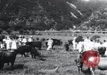 Image of Korean farmers at a bull's market Korea, 1936, second 25 stock footage video 65675028855