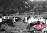 Image of Korean farmers at a bull's market Korea, 1936, second 26 stock footage video 65675028855