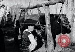 Standbild koreanischen Bauern Nägel Stahl Schuhe zu seiner Bulle Korea, 1936, aus Sekunde 18 historischem Filmmaterial Videoclip 65675028856
