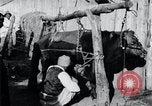 Standbild koreanischen Bauern Nägel Stahl Schuhe zu seiner Bulle Korea, 1936, aus Sekunde 21 historischem Filmmaterial Videoclip 65675028856