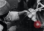 Standbild koreanischen Bauern Nägel Stahl Schuhe zu seiner Bulle Korea, 1936, aus Sekunde 37 historischem Filmmaterial Videoclip 65675028856