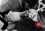 Standbild koreanischen Bauern Nägel Stahl Schuhe zu seiner Bulle Korea, 1936, aus Sekunde 39 historischem Filmmaterial Videoclip 65675028856