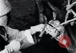 Standbild koreanischen Bauern Nägel Stahl Schuhe zu seiner Bulle Korea, 1936, aus Sekunde 42 historischem Filmmaterial Videoclip 65675028856