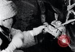 Standbild koreanischen Bauern Nägel Stahl Schuhe zu seiner Bulle Korea, 1936, aus Sekunde 43 historischem Filmmaterial Videoclip 65675028856