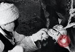 Standbild koreanischen Bauern Nägel Stahl Schuhe zu seiner Bulle Korea, 1936, aus Sekunde 53 historischem Filmmaterial Videoclip 65675028856