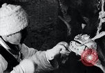 Standbild koreanischen Bauern Nägel Stahl Schuhe zu seiner Bulle Korea, 1936, aus Sekunde 54 historischem Filmmaterial Videoclip 65675028856