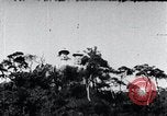 Standbild Twin Steinschnitzereien der Buddhas auf dem Berg Chan-ji Korea, 1936, aus Sekunde 14 historischem Filmmaterial Videoclip 65675028857