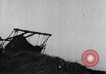 Image of Bull loaded with crop Korea, 1936, second 6 stock footage video 65675028860