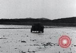Image of Bull loaded with crop Korea, 1936, second 40 stock footage video 65675028860