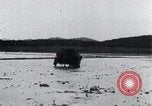 Image of Bull loaded with crop Korea, 1936, second 42 stock footage video 65675028860