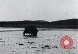 Image of Bull loaded with crop Korea, 1936, second 44 stock footage video 65675028860