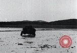 Image of Bull loaded with crop Korea, 1936, second 45 stock footage video 65675028860