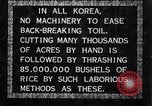 Image of threshing Korea, 1936, second 5 stock footage video 65675028861