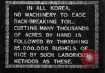 Image of threshing Korea, 1936, second 7 stock footage video 65675028861