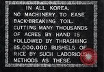 Image of threshing Korea, 1936, second 8 stock footage video 65675028861