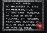 Image of threshing Korea, 1936, second 12 stock footage video 65675028861