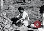 Image of threshing Korea, 1936, second 19 stock footage video 65675028861