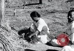 Image of threshing Korea, 1936, second 20 stock footage video 65675028861