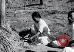 Image of threshing Korea, 1936, second 21 stock footage video 65675028861