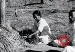 Image of threshing Korea, 1936, second 22 stock footage video 65675028861