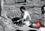 Image of threshing Korea, 1936, second 23 stock footage video 65675028861