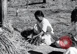 Image of threshing Korea, 1936, second 24 stock footage video 65675028861