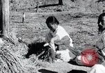 Image of threshing Korea, 1936, second 25 stock footage video 65675028861