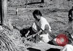 Image of threshing Korea, 1936, second 26 stock footage video 65675028861