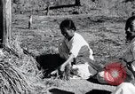 Image of threshing Korea, 1936, second 27 stock footage video 65675028861