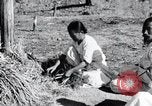 Image of threshing Korea, 1936, second 28 stock footage video 65675028861