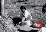 Image of threshing Korea, 1936, second 29 stock footage video 65675028861