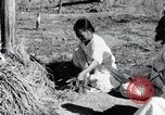 Image of threshing Korea, 1936, second 31 stock footage video 65675028861