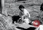 Image of threshing Korea, 1936, second 32 stock footage video 65675028861