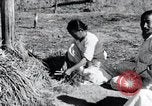 Image of threshing Korea, 1936, second 33 stock footage video 65675028861