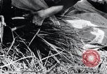 Image of threshing Korea, 1936, second 39 stock footage video 65675028861