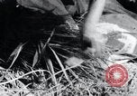 Image of threshing Korea, 1936, second 40 stock footage video 65675028861