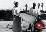 Image vannage Corée, 1936, de la seconde 11 séquences d'archives historiques vidéo 65675028862