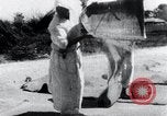 Image vannage Corée, 1936, de la seconde 22 séquences d'archives historiques vidéo 65675028862