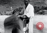 Image vannage Corée, 1936, de la seconde 23 séquences d'archives historiques vidéo 65675028862